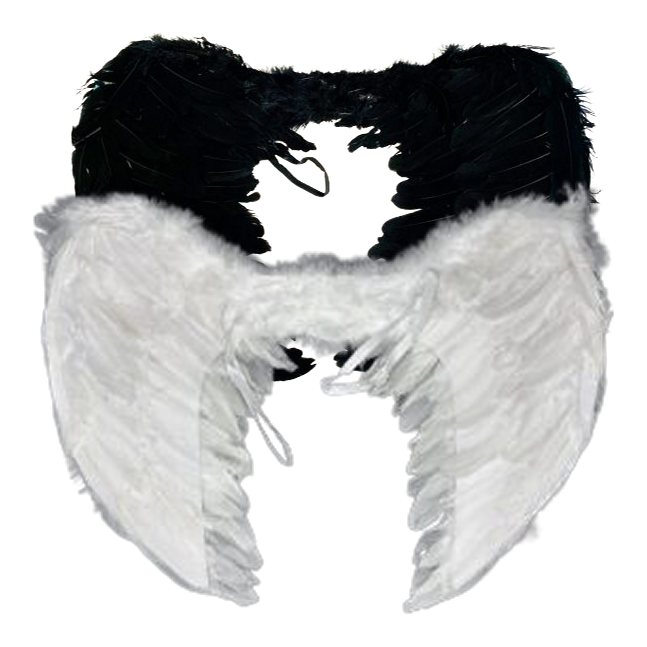 Ala Angelita C/Plumas 60*45Cm